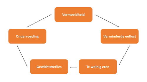B-Vitaal cirkel van ondervoeding